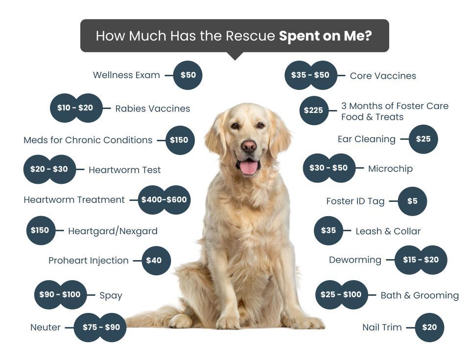 Underdogs Fee Graphic